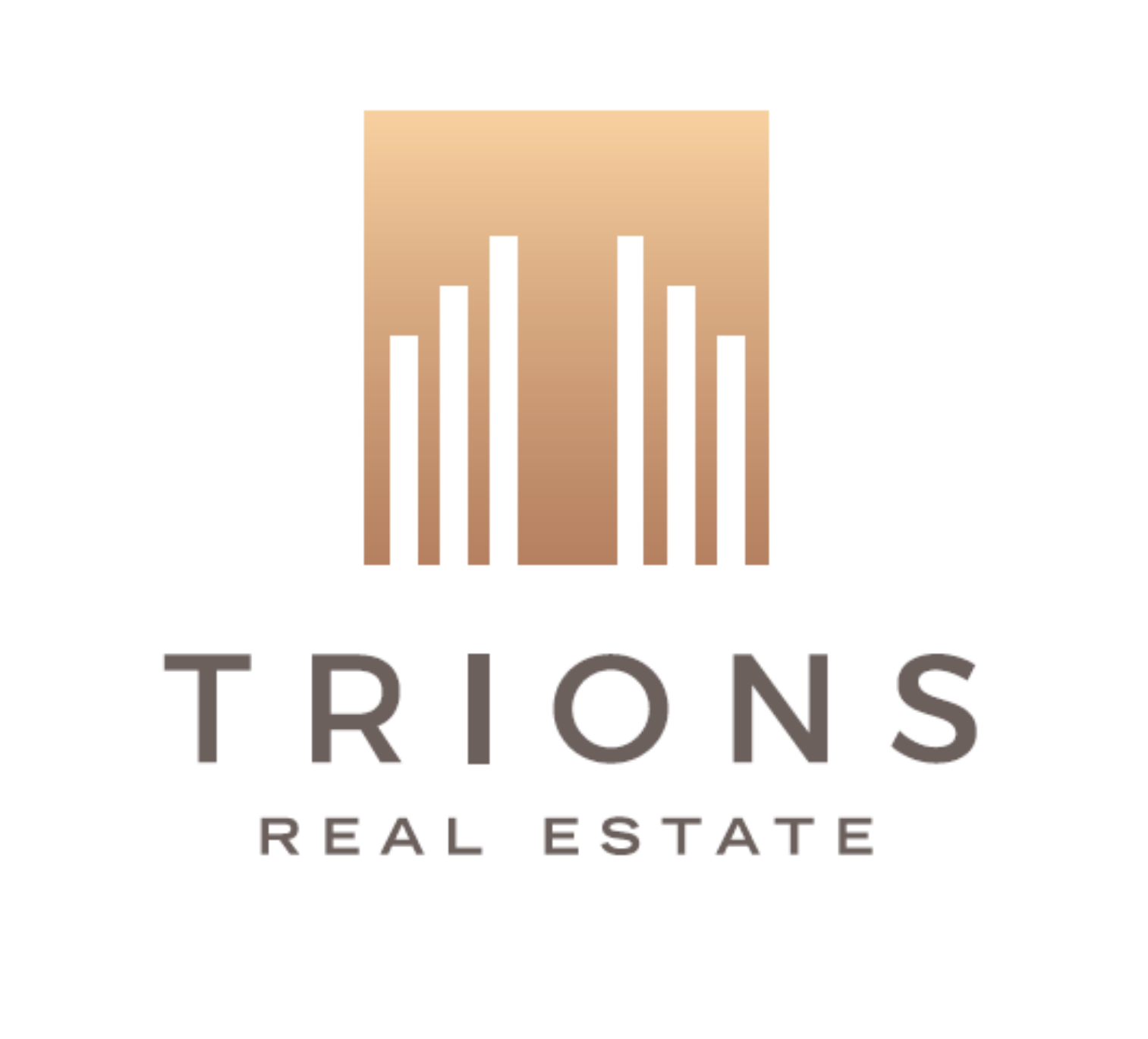 Trions VI 2019 — 2