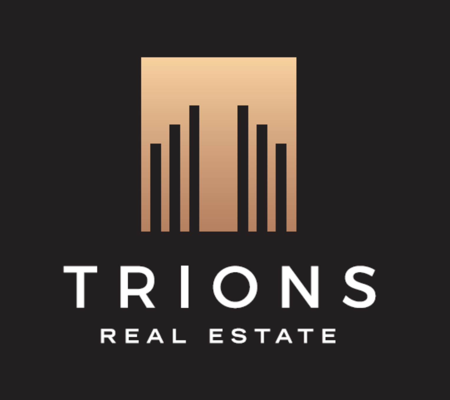 Trions VI 2019 — 3