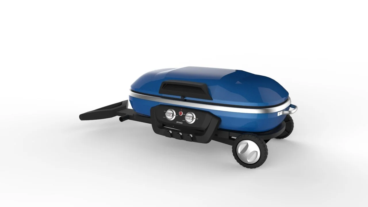 Paite Foldable Gas BBQ Grill with Wheels 2015 — 5